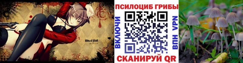 мега зеркало  наркошоп  Кохма  Галлюциногенные грибы Magic Shrooms 